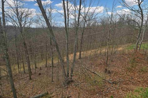 104 Caddie Court Maidsville WV 26541