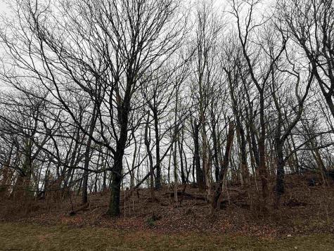 40 Bine Street Fairmont WV 26554