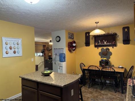 740 Dunkard Mill Road Farmington WV 26571