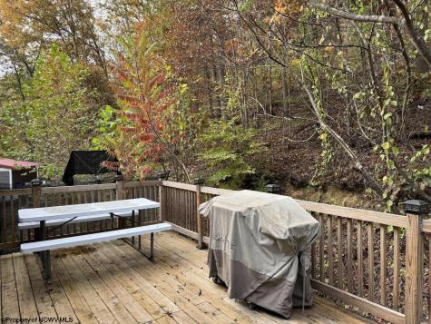 740 Dunkard Mill Road Farmington WV 26571