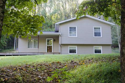 274 Brown Run Road Burton WV 26562-9612