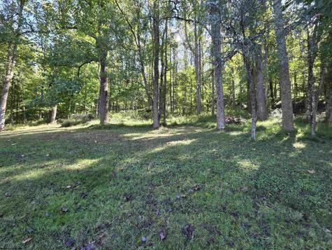 274 Brown Run Road Burton WV 26562-9612