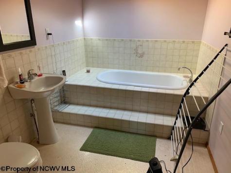 2007 Buckhannon River Road Volga WV 26238