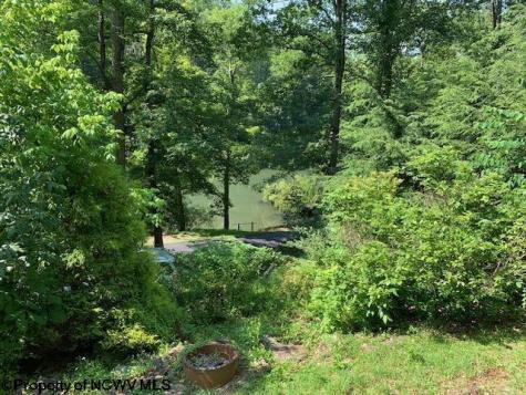 2007 Buckhannon River Road Volga WV 26238