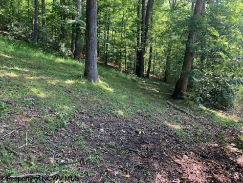 2007 Buckhannon River Road Volga WV 26238