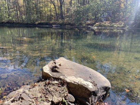 2007 Buckhannon River Road Volga WV 26238