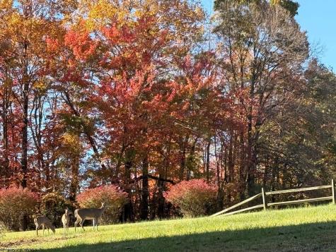 1896 Bunner Ridge Road Fairmont WV 26554