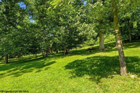 83 Oakridge Drive Mount Clare WV 26408