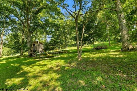 83 Oakridge Drive Mount Clare WV 26408