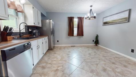 45 Spring Hills Road Grafton WV 26354