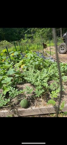 3368 Owl Creek Road Morgantown WV 26508