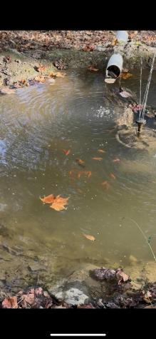 3368 Owl Creek Road Morgantown WV 26508