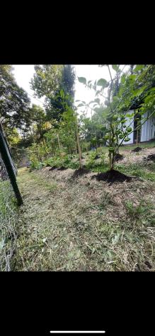 3368 Owl Creek Road Morgantown WV 26508