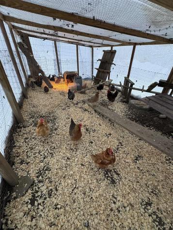 3368 Owl Creek Road Morgantown WV 26508