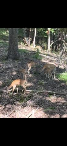 3368 Owl Creek Road Morgantown WV 26508