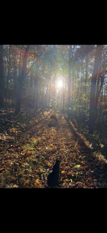 3368 Owl Creek Road Morgantown WV 26508