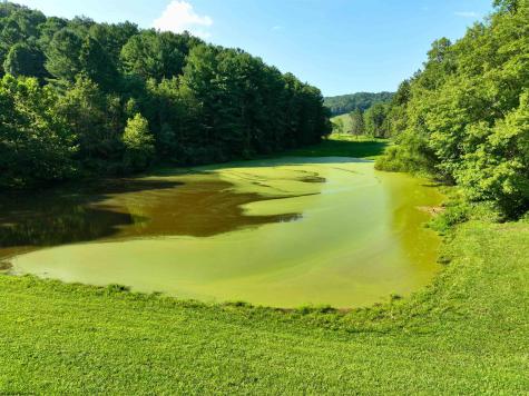 111 Varner Hollow Road Salem WV 26426