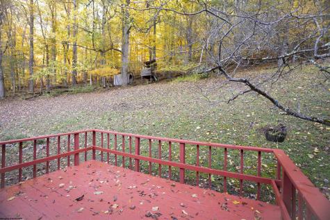 161 Hilltop Drive Philippi WV 26416