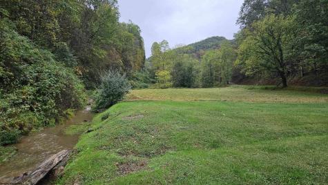 415 Elderberry Road Coxs Mill WV 26342