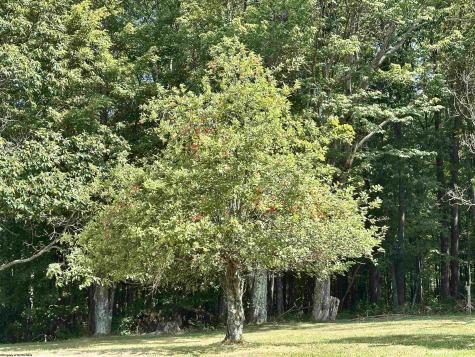 4098 Audra Park Road Belington WV 26250