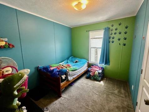 884 Harter Hill Road Worthington WV 26591-0000
