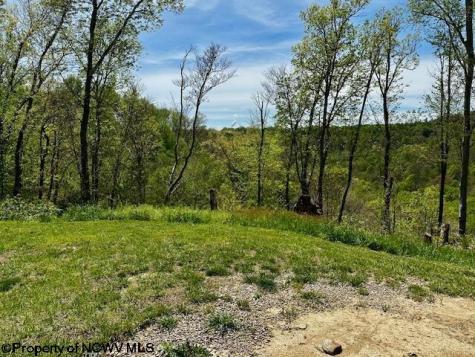 884 Harter Hill Road Worthington WV 26591-0000