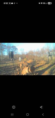 884 Harter Hill Road Worthington WV 26591-0000