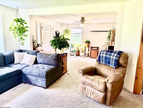 33 N Euclid Avenue Thomas WV 26262