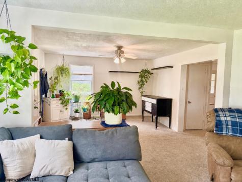33 N Euclid Avenue Thomas WV 26262