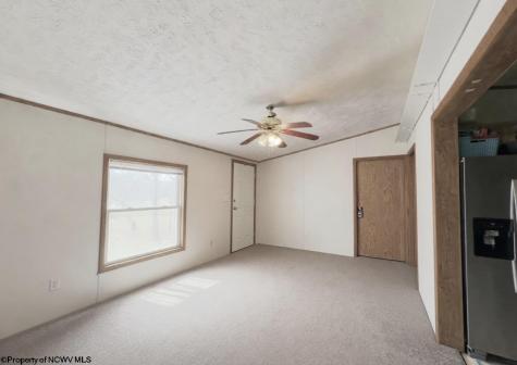462 Spring Hills Road Grafton WV 26354