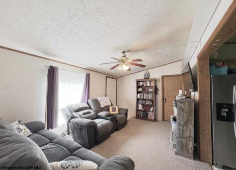 462 Spring Hills Road Grafton WV 26354