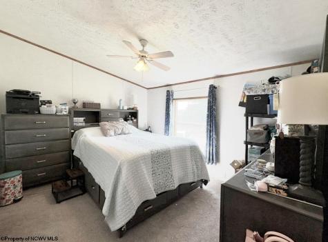 462 Spring Hills Road Grafton WV 26354