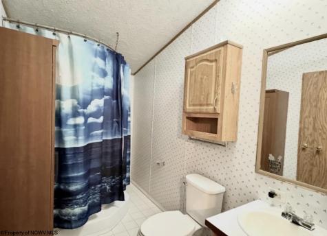 462 Spring Hills Road Grafton WV 26354