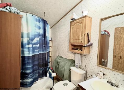 462 Spring Hills Road Grafton WV 26354