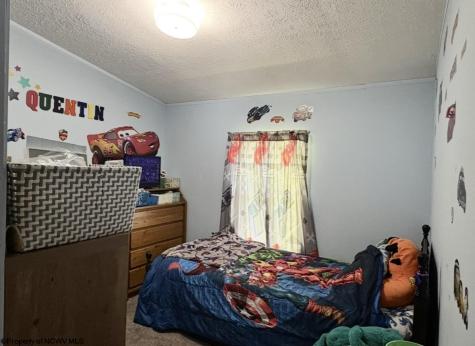 462 Spring Hills Road Grafton WV 26354