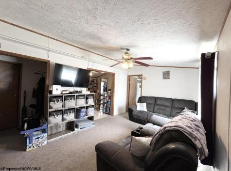 462 Spring Hills Road Grafton WV 26354