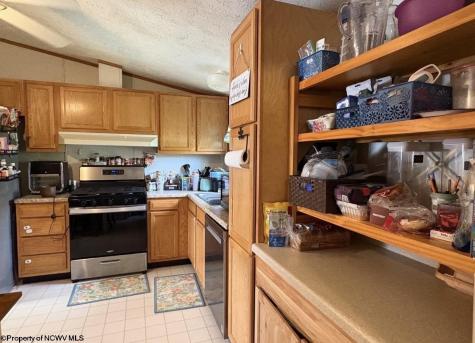 462 Spring Hills Road Grafton WV 26354