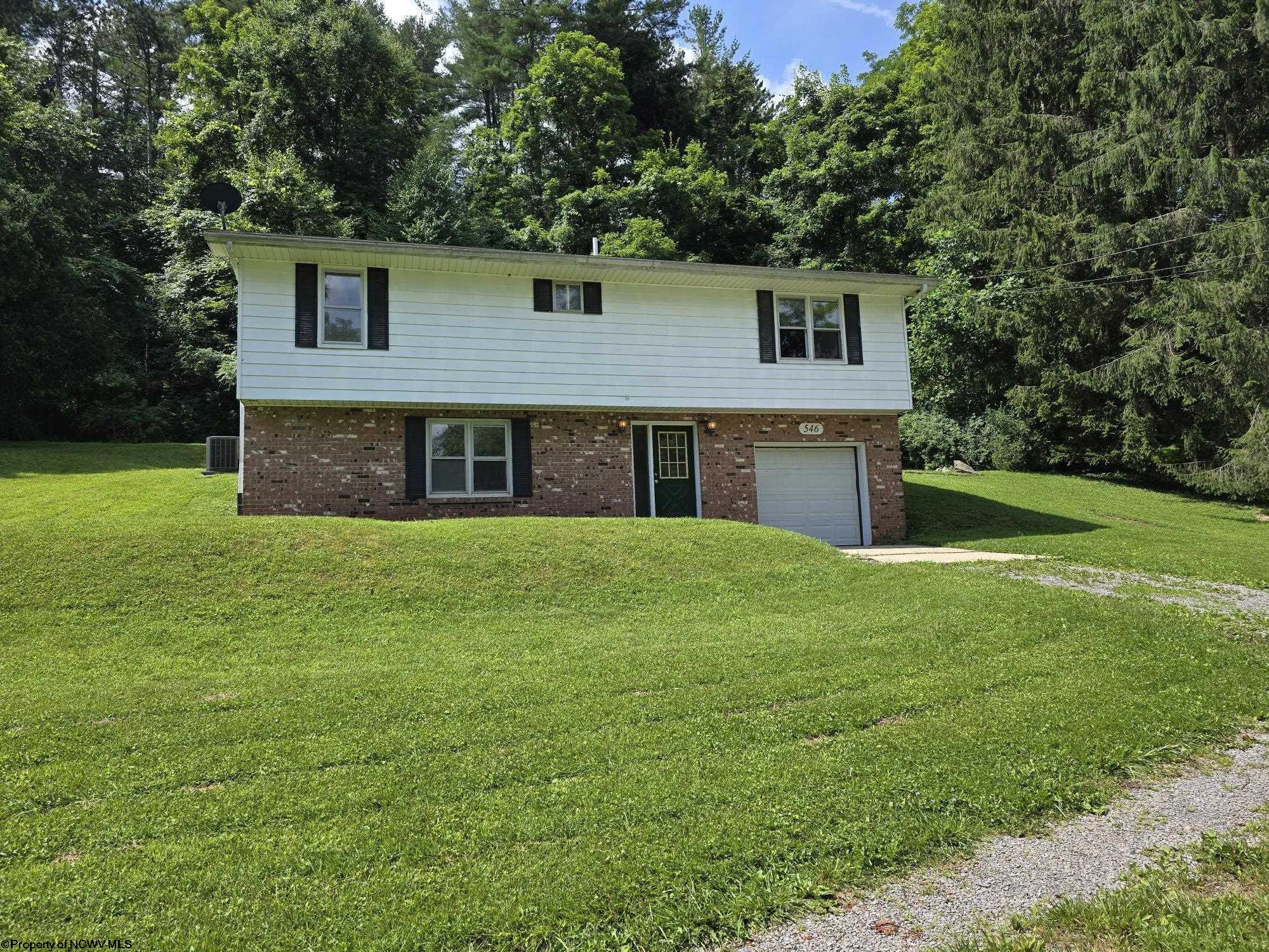 546 Moyer Hollow Road Elkins WV 26241-8627