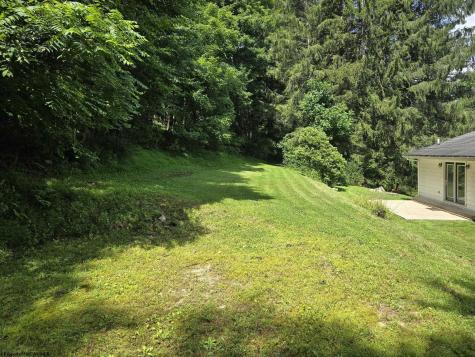 546 Moyer Hollow Road Elkins WV 26241-8627