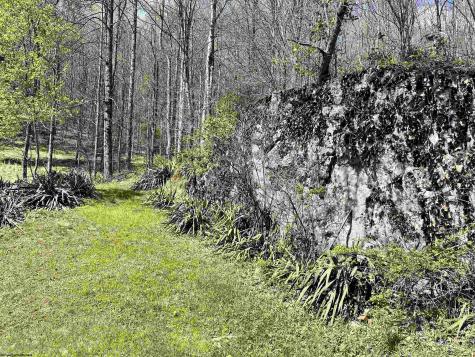 170 Gregorytown Road Rock Cave WV 26234