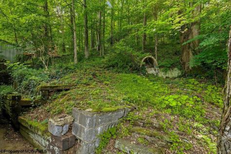 1752 Lake Floyd Circle Bristol WV 26426