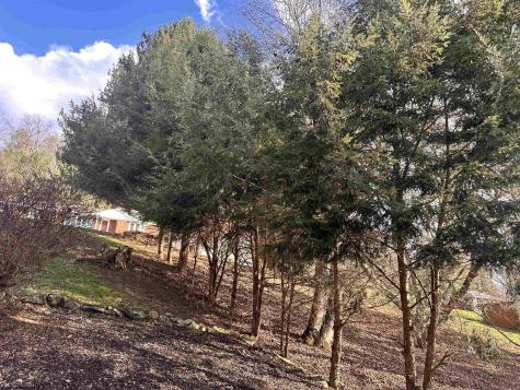 159 Kramer Drive Clarksburg WV 26301