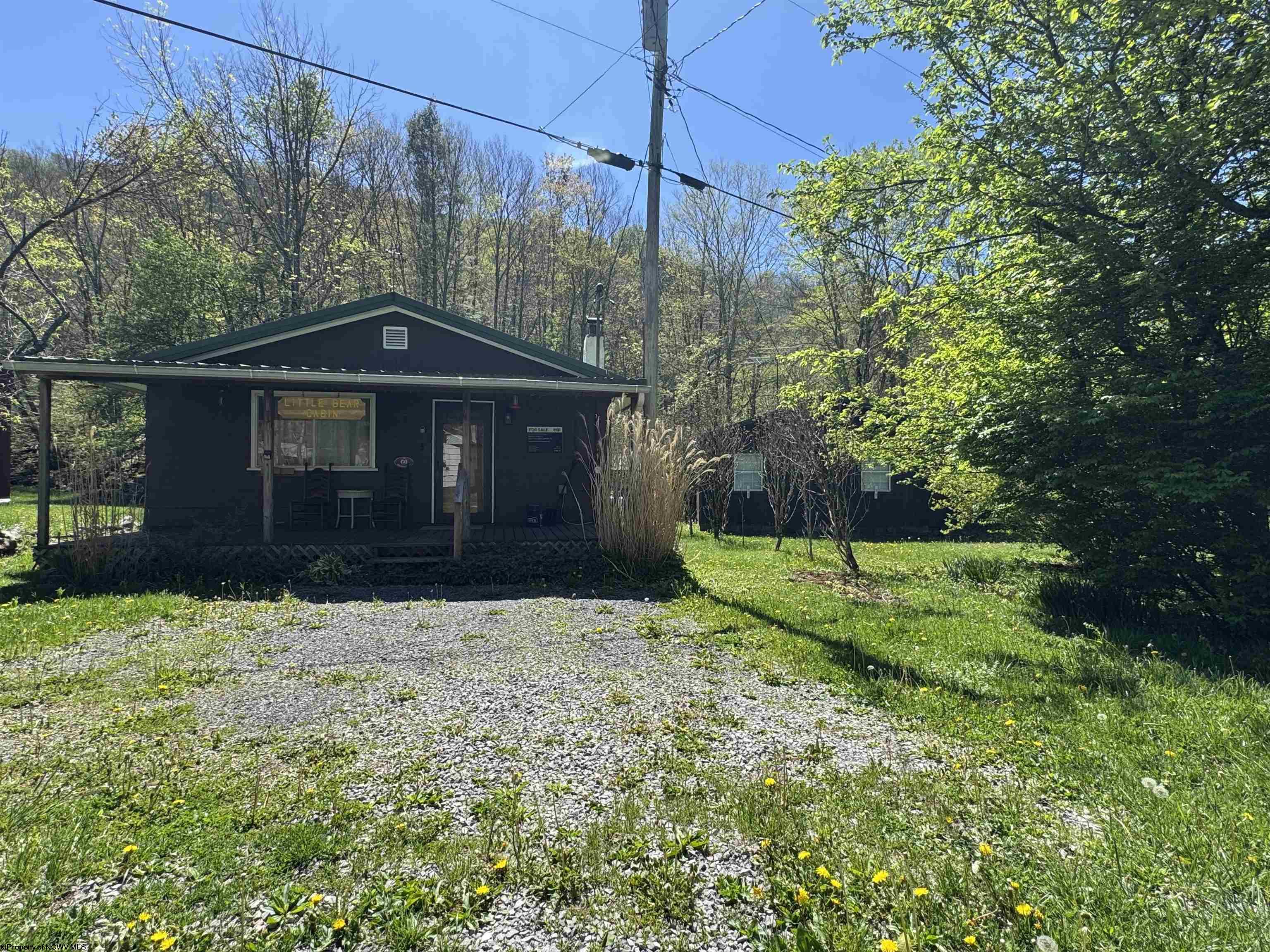 60 Black Bear Lane Dryfork WV 26263
