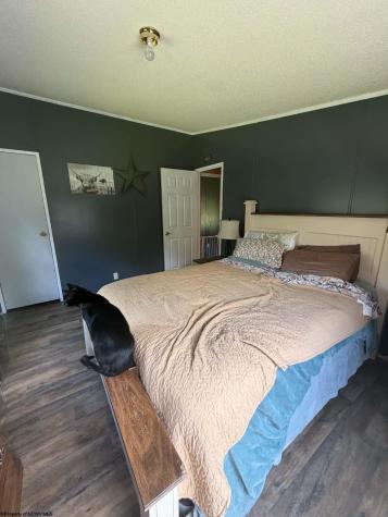 165 Everson Lane Volga WV 26238