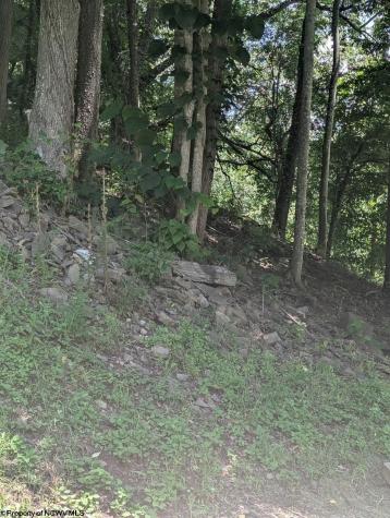 522 Point Mountain Road Valley Head WV 26294