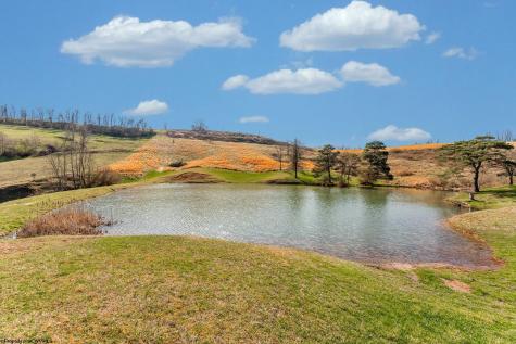 486 Saint Francis Way Bridgeport WV 26554