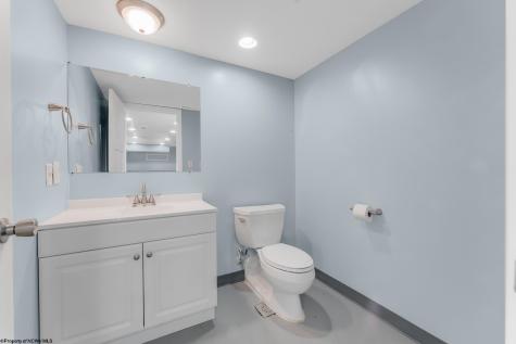 486 Saint Francis Way Bridgeport WV 26554
