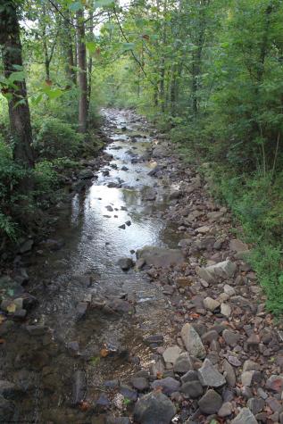 3057 Valley Fork Road Monterville WV 26282-9998