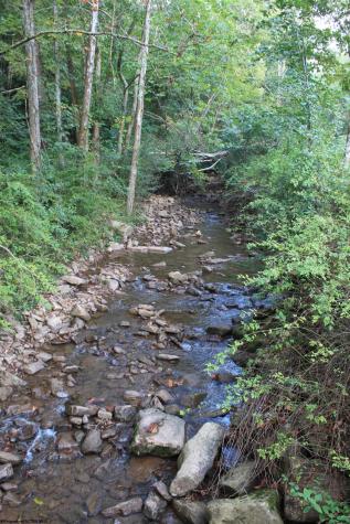3057 Valley Fork Road Monterville WV 26282-9998