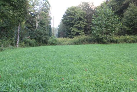 3057 Valley Fork Road Monterville WV 26282-9998